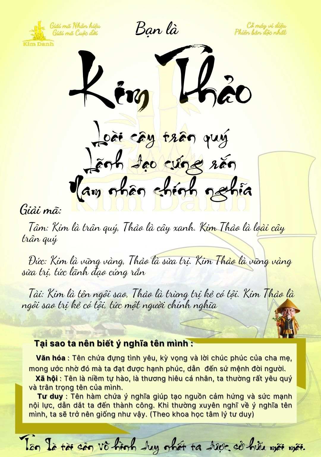 Ý nghĩa tên Kim Thảo