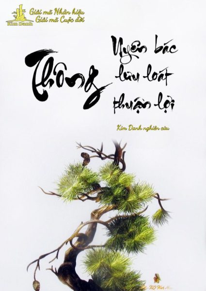 Ý nghĩa tên Thông