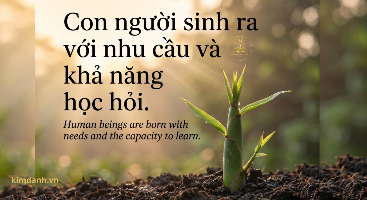 RỪNG TRE KIM DANH 7 Tự học là một tài năng gốc