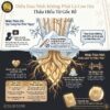 Hiểu thế giới nội tâm của con